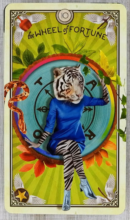 Tarot of Curious Creatures